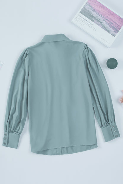 Gathered Detail Puff Sleeve Shirt