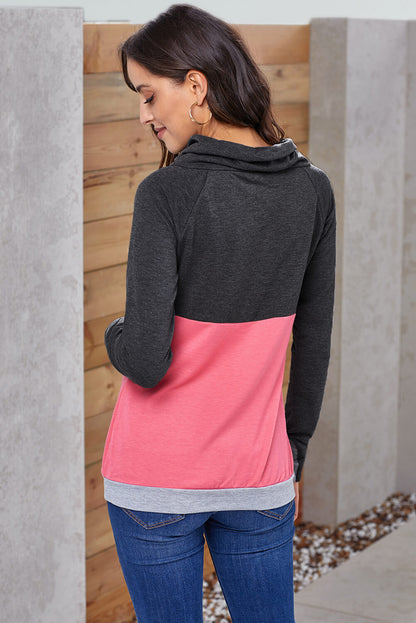 Color Block Raglan Sleeve Drawstring Sweatshirt